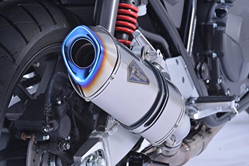 Amazon.co.jp: アールズギア (r's gear) ワイバン リアルスペック